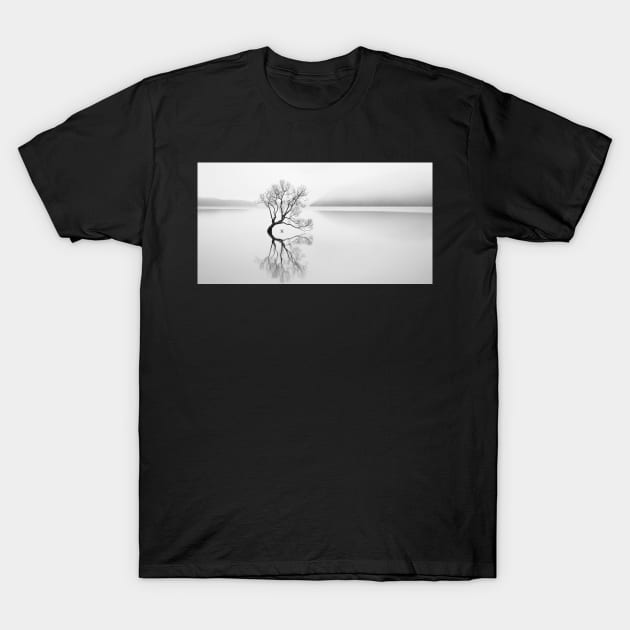 Serenity T-Shirt by njones